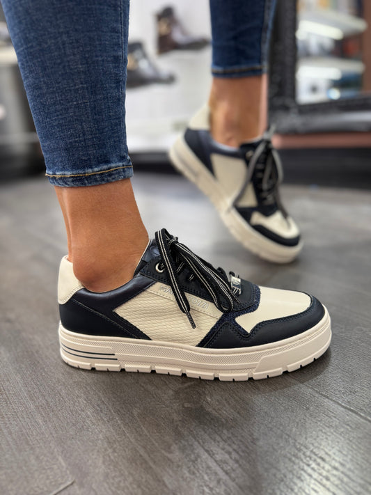 Cream Comb Navy Trainers